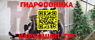 кокс Заводоуковск