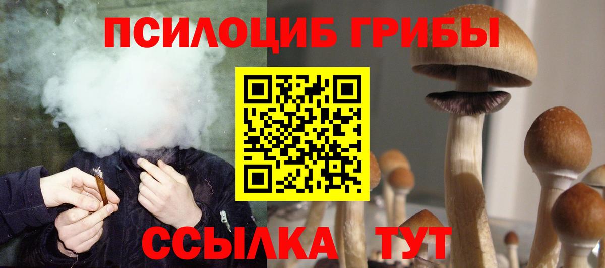 Галлюциногенные грибы Psilocybine cubensis  Вход с VPN  Междуреченск  Галлюциногенные грибы Cubensis 